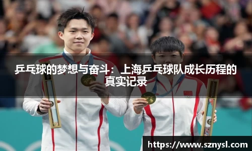 乒乓球的梦想与奋斗：上海乒乓球队成长历程的真实记录